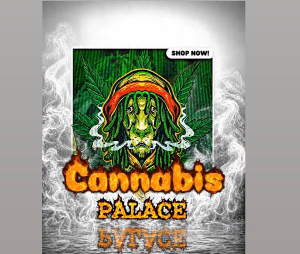 CBD EDIBLES/PRODUCTS
