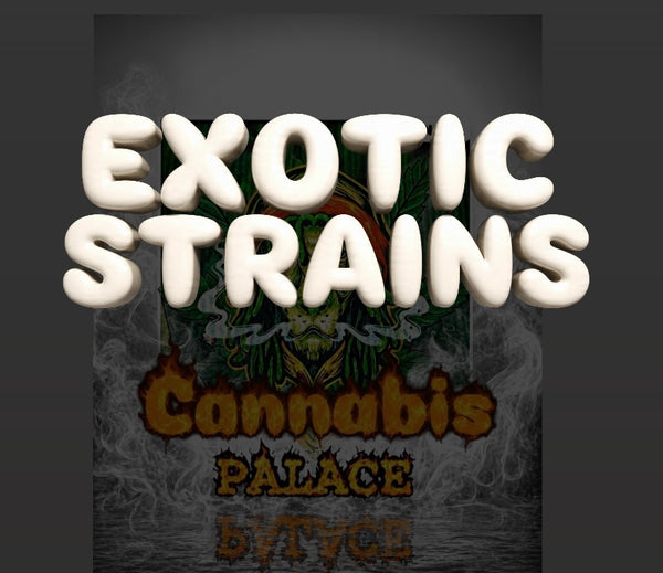 EXOTIC GRADE