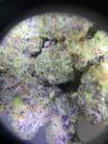 2g Blackberry (INDOOR GRADE)