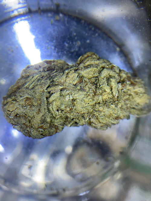 2g Cream slice (INDOOR GRADE)