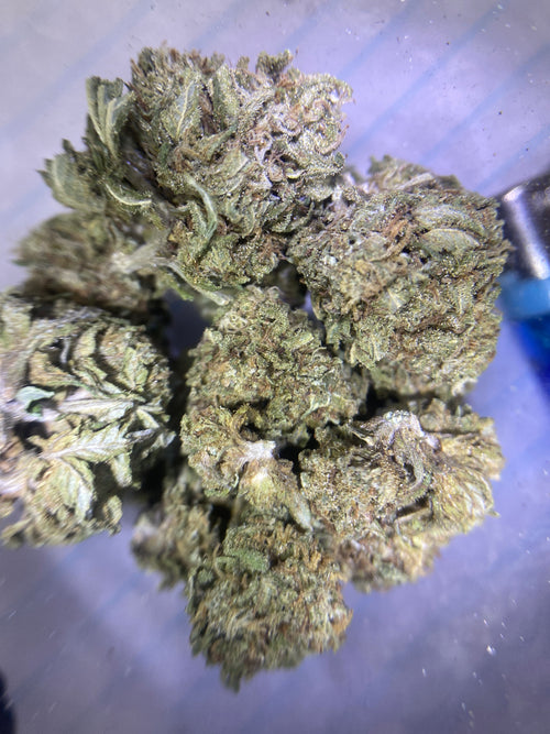 6g big buddha (greenhouse)