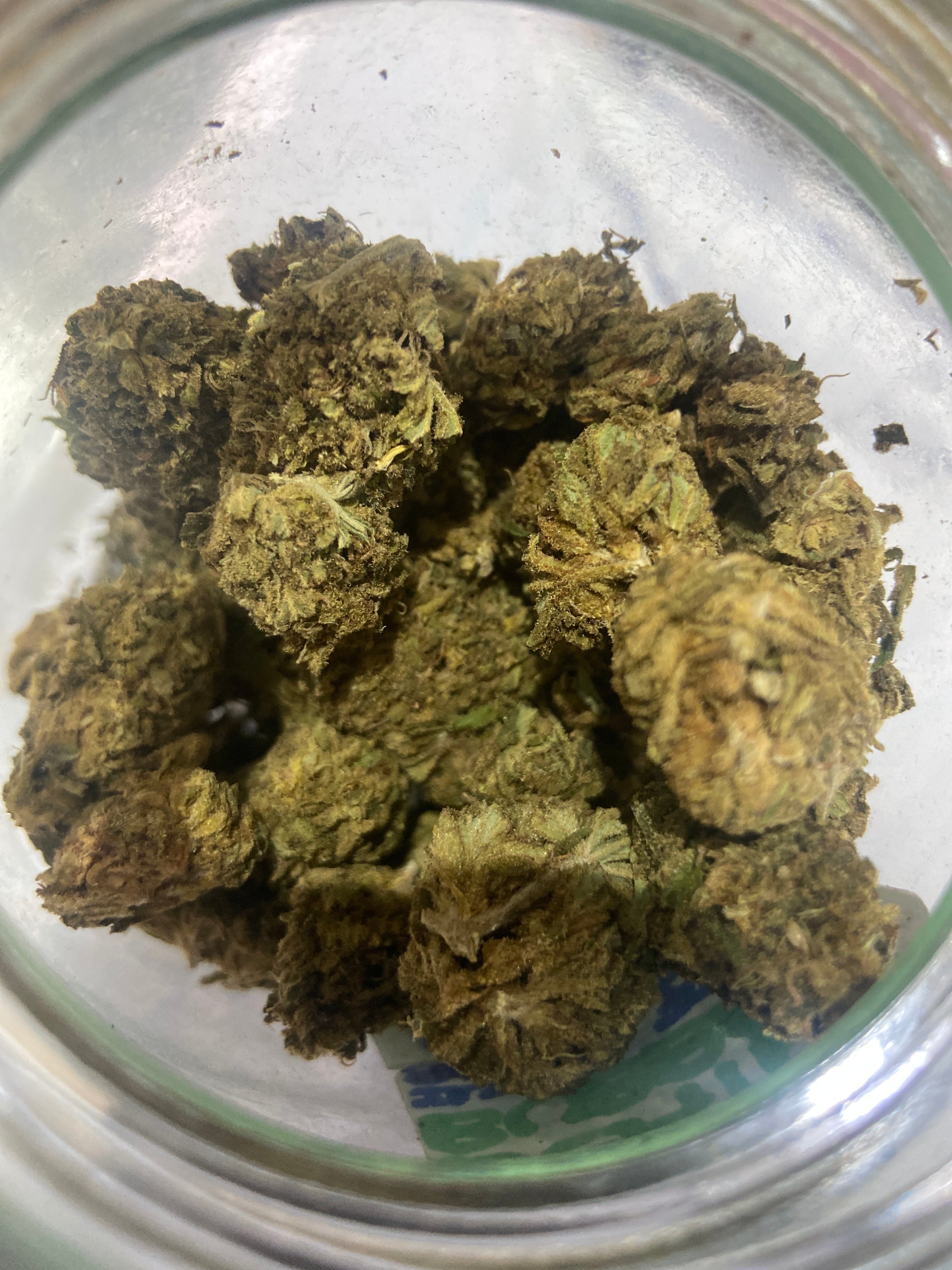 6g sour og cheese (greenhouse)