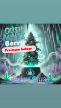 2g Mint Berry Gush