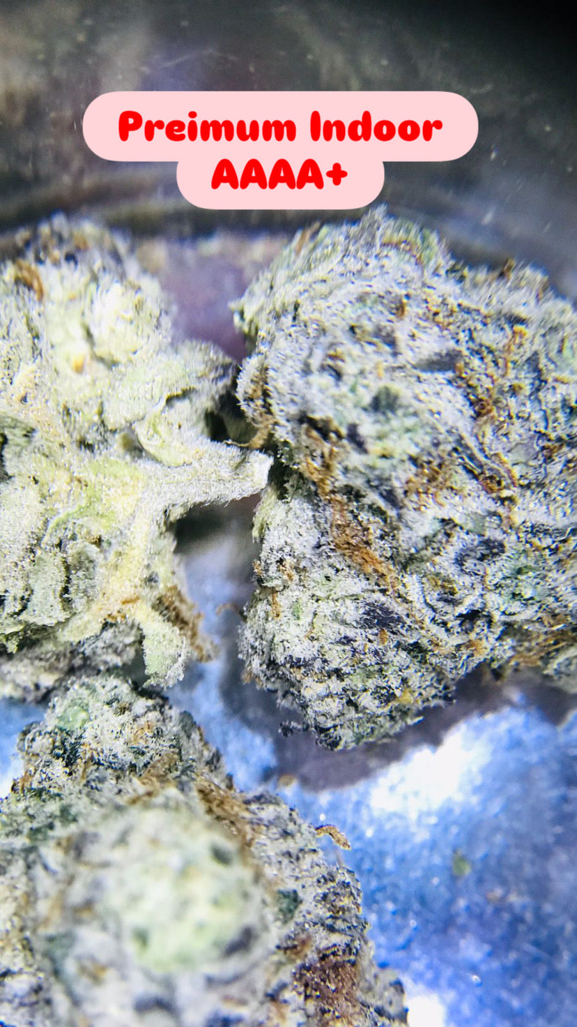 Coochie Strain                                       Cannabis Palace