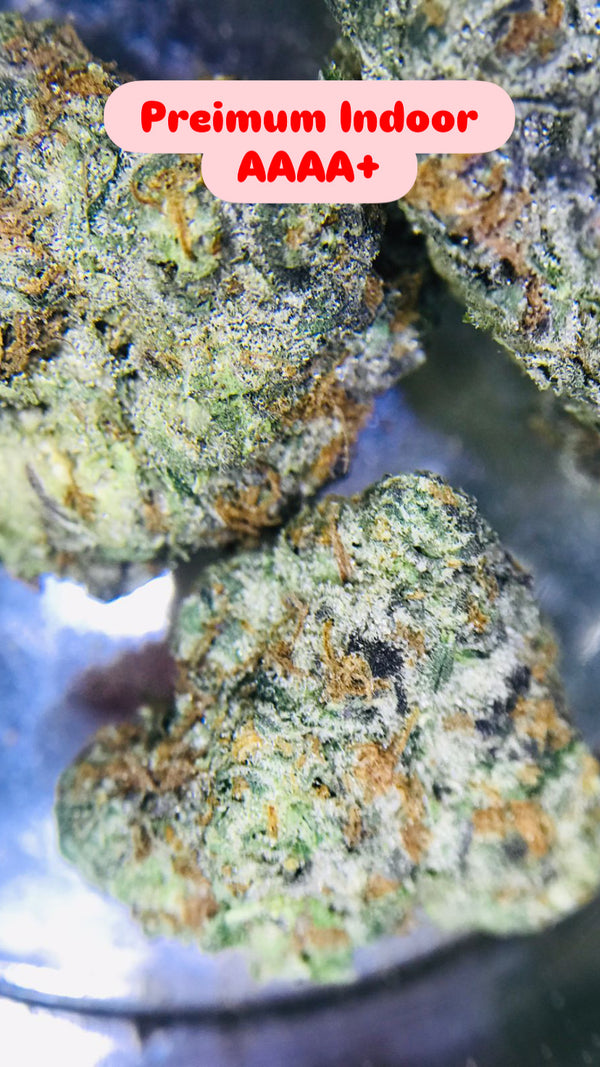 Alaskan Thunder Fuck Strain                               Cannabis Palace
