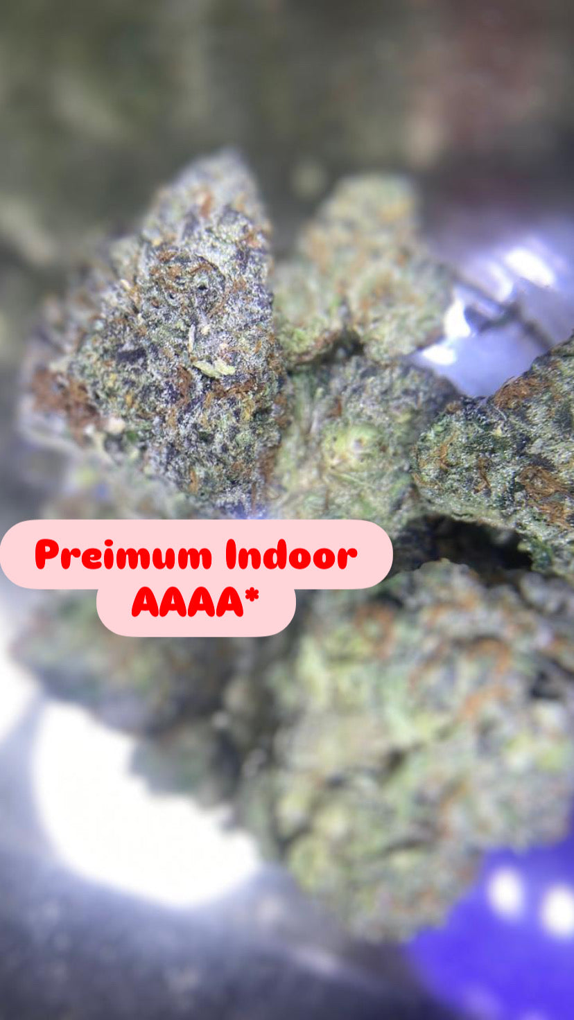 Platinum Zuchie Strain                         Cannabis Palace