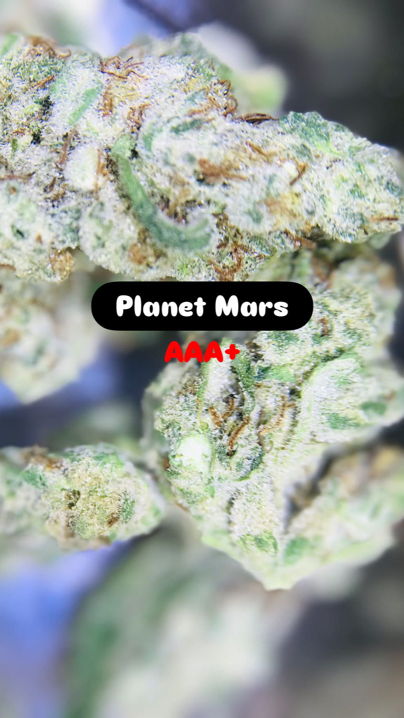 Planet Mars Strain                                Cannabis Palace
