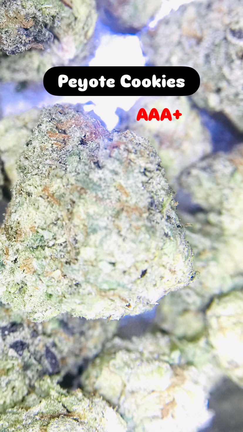 Peyote Cookies Strain                         Cannabis Palace