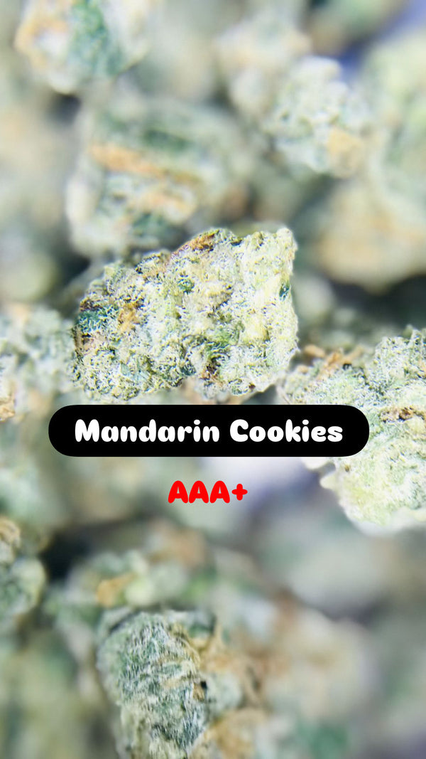 Mandarin Cookies Strain                     Cannabis Place