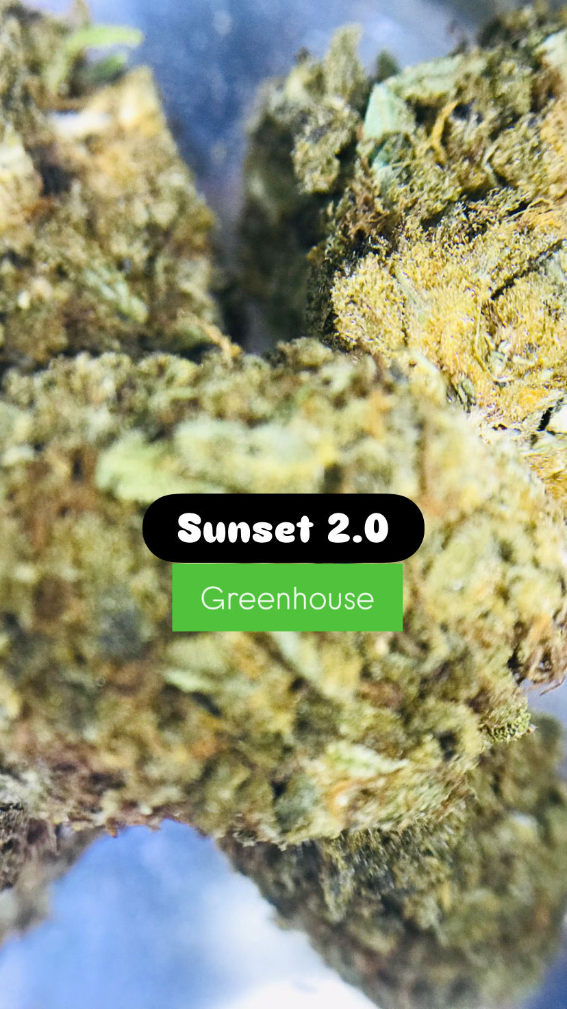 Sunset 2.0 Strain                                 Cannabis Palace