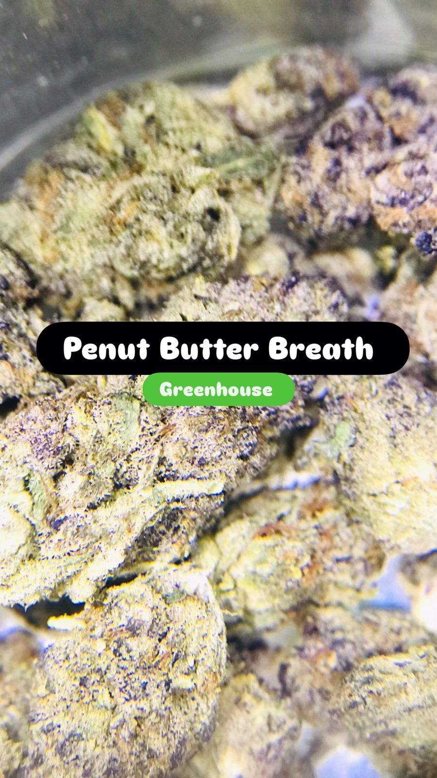 Peanut Butter Breath Strain                Cannabis Palace