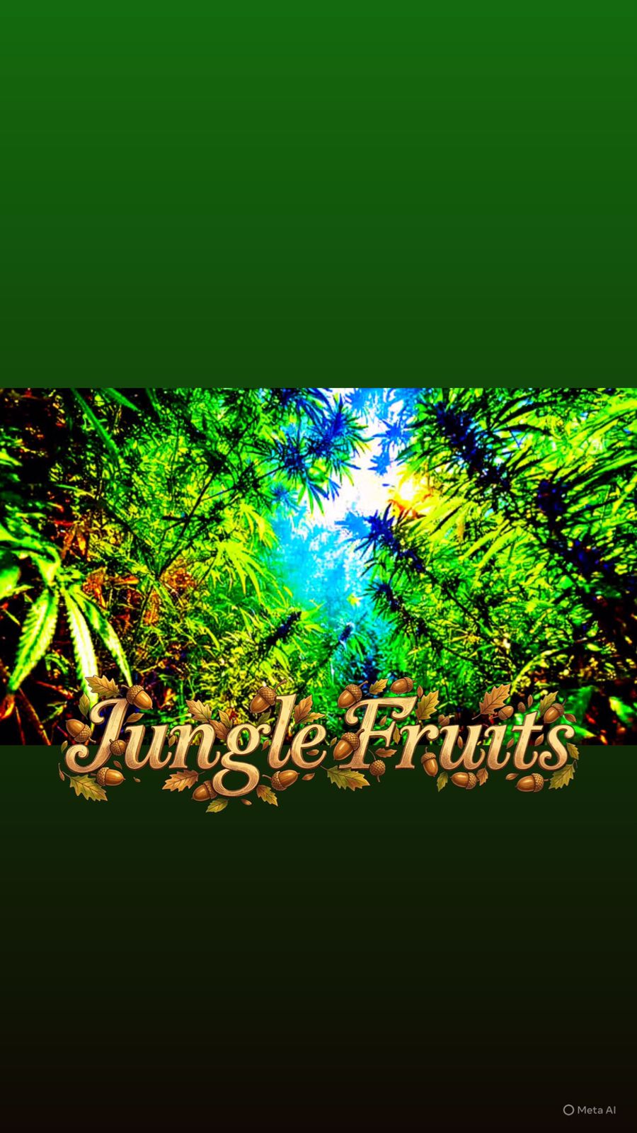Jungle Fruits Strain                               Cannabis Palace